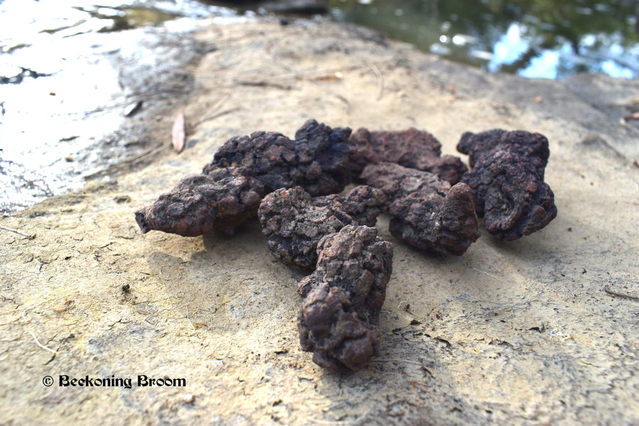 A pile of coprolite, fossilised dinosaur poo, sitting on rock