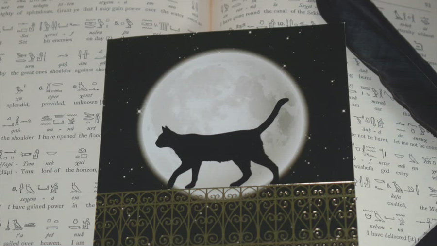 Black Cat Walking on Fence with Full Moon Blank Greeting Card & Envelope