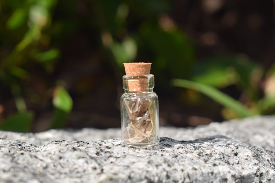 A small glass vial with cork lid containing shed snake skin resting on a rock