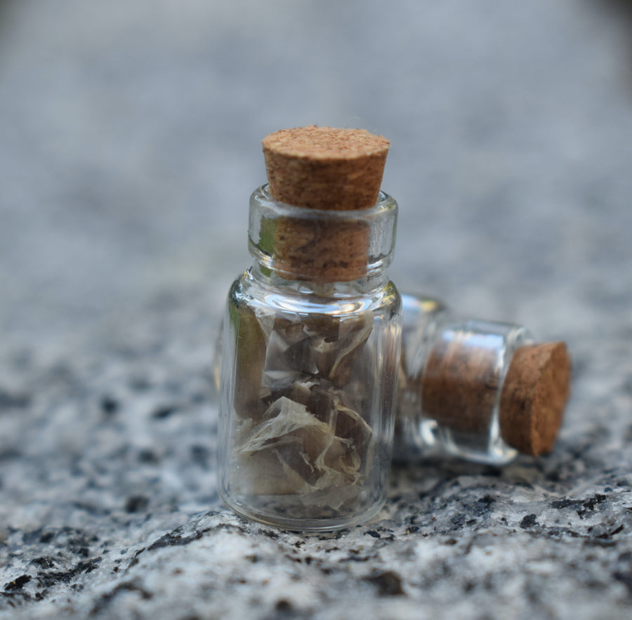 Two small glass vials with cork lids containing shed snake skin resting on a rock