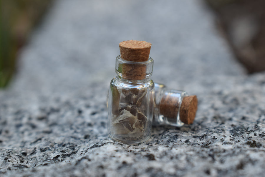 Two small glass vials with cork lids containing shed snake skin on a rock