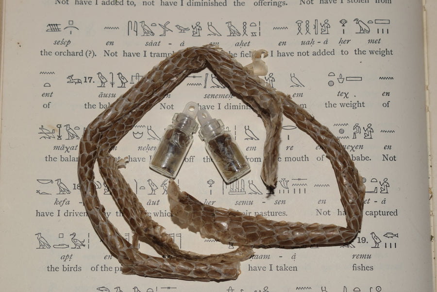 Two small glass vials with containing shed snake skin resting on a page of hieroglyphs 