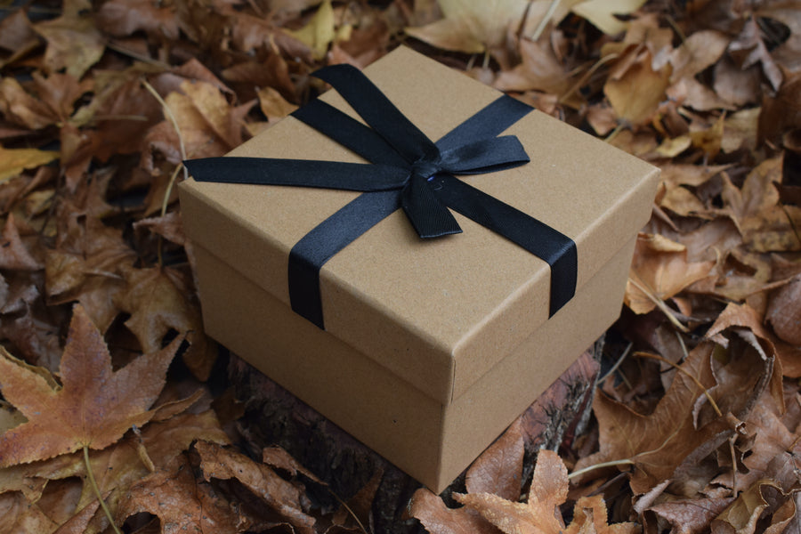 A brown cardboard box with a black ribbon on top nestled in a bed of autumn leaves