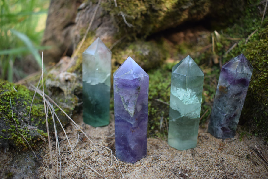 Four fluorite crystal points of purple and green nestled amongst a mossy log