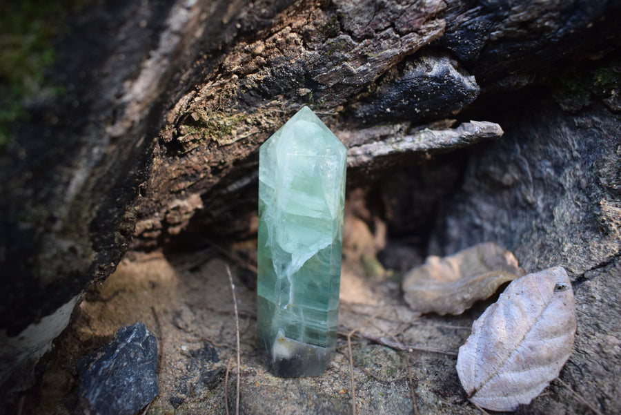 A green fluorite crystal point nestled amongst a log