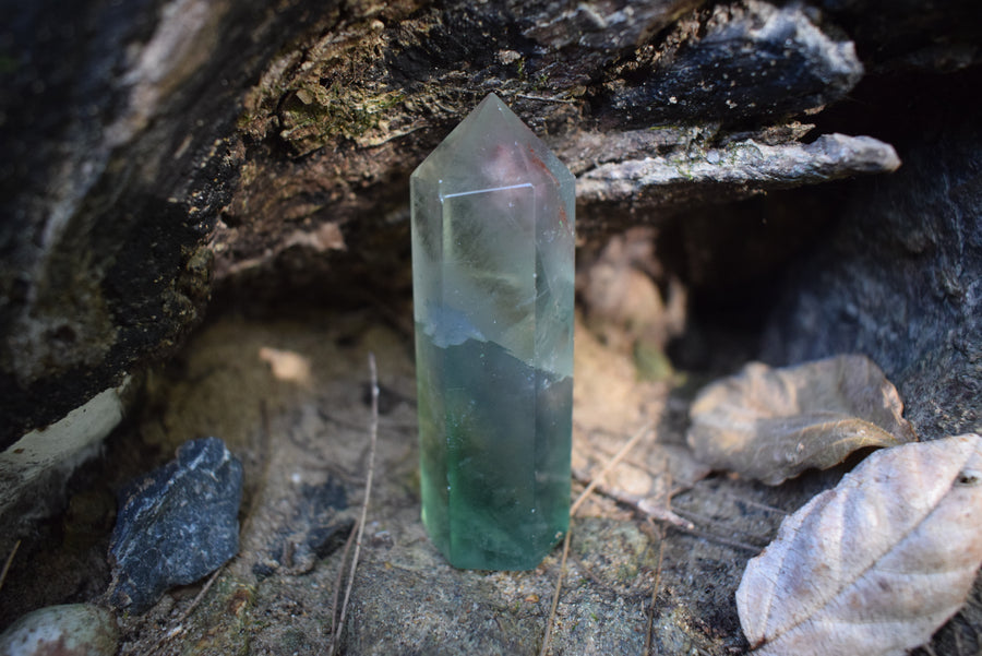 A fluorite crystal point of purple and green nestled amongst a log