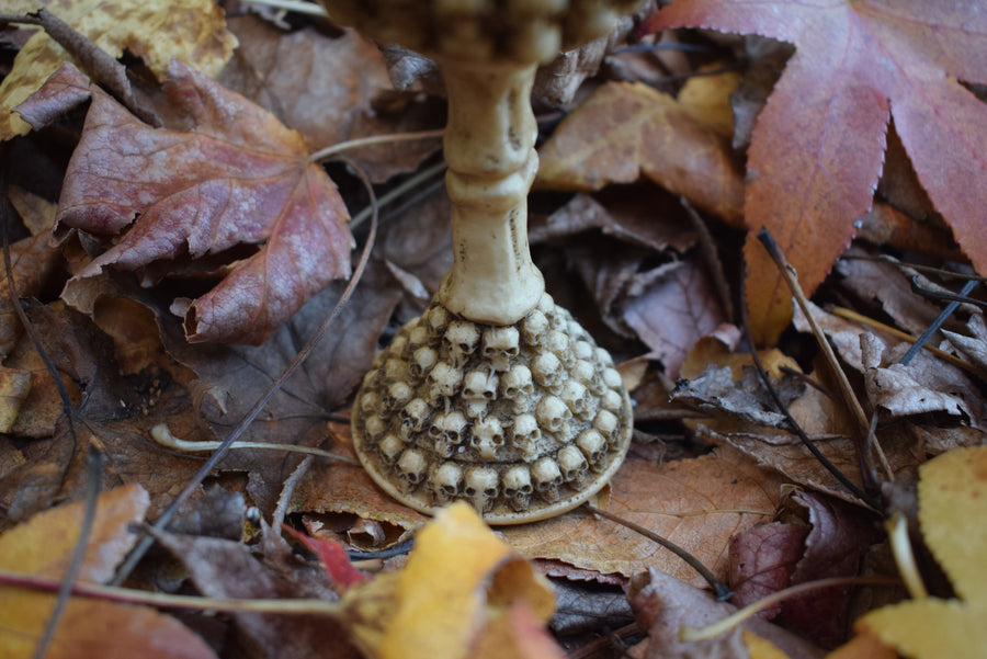 The base of a goblet with skulls all over it sits on a bed of autumn leaves