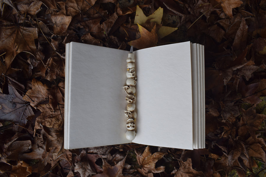 An open book of shadows with a rests in a bed of autumn leaves with a pen of skulls on top.