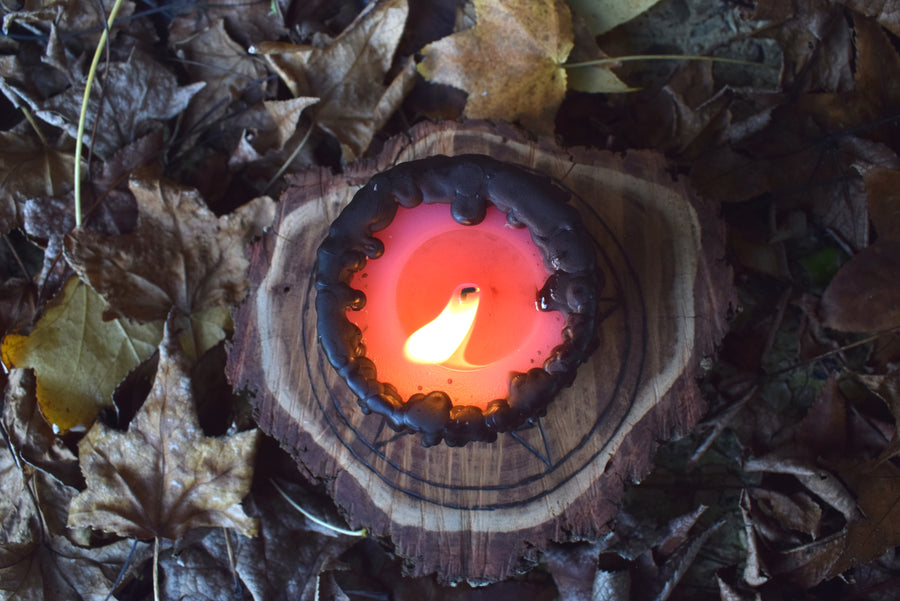 A lit pink pillar candle with its wick alight sits on a pentagram disk nestled on a bed of autumn leaves