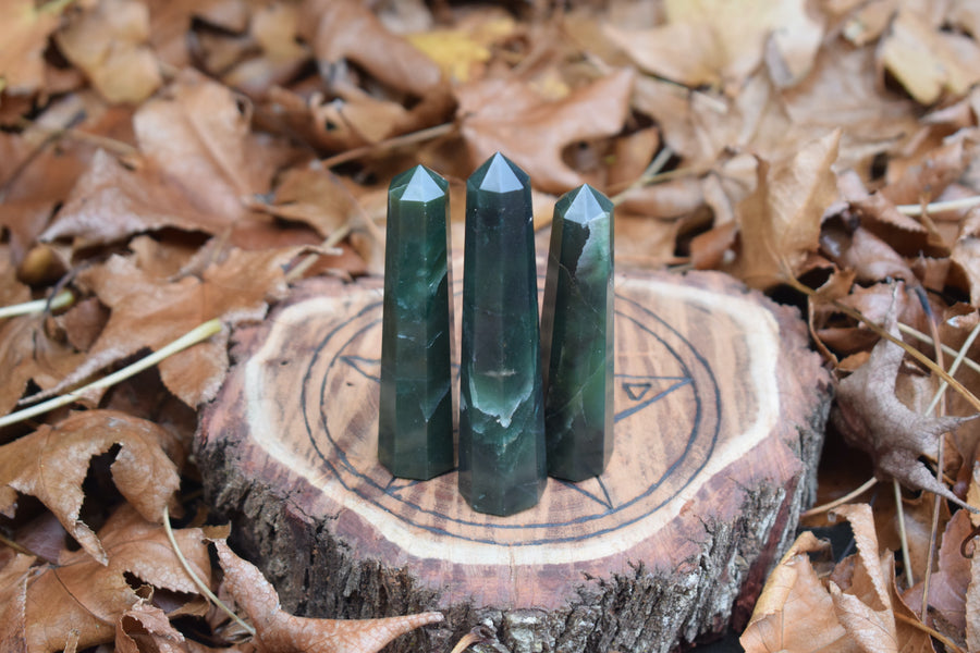 Bloodstone Crystal Obelisk Wand + Cleansing & Charging Kit for Strength & Courage