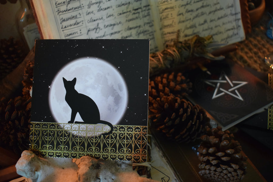 Black Cat Sitting on Fence with Full Moon Blank Greeting Card & Envelope