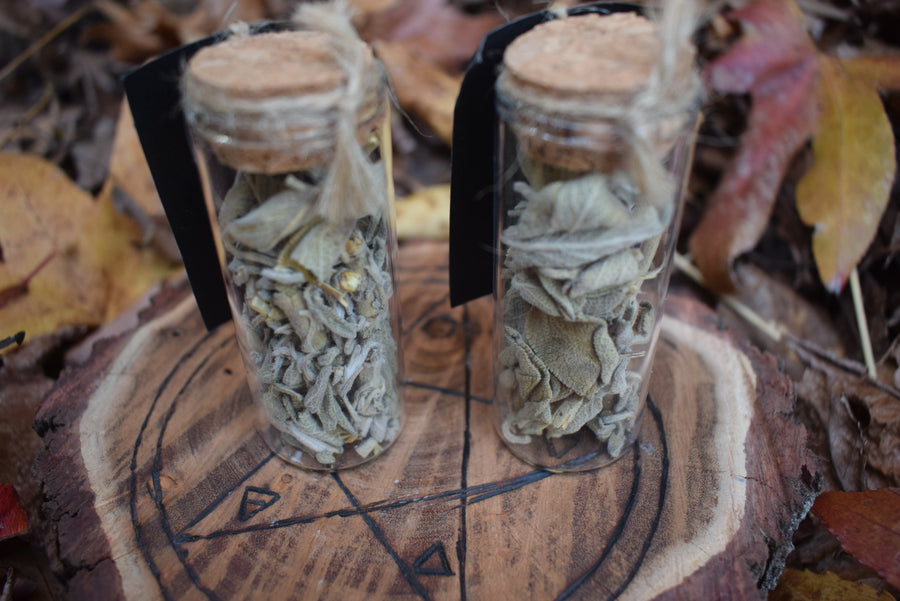 Powerful WHITE SAGE Pure Herb in Glass Vial Powerful Cleansing, Cutting Ties & Exorcism