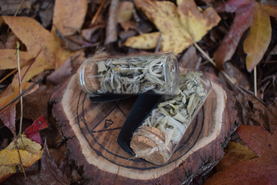 Powerful WHITE SAGE Pure Herb in Glass Vial Powerful Cleansing, Cutting Ties & Exorcism