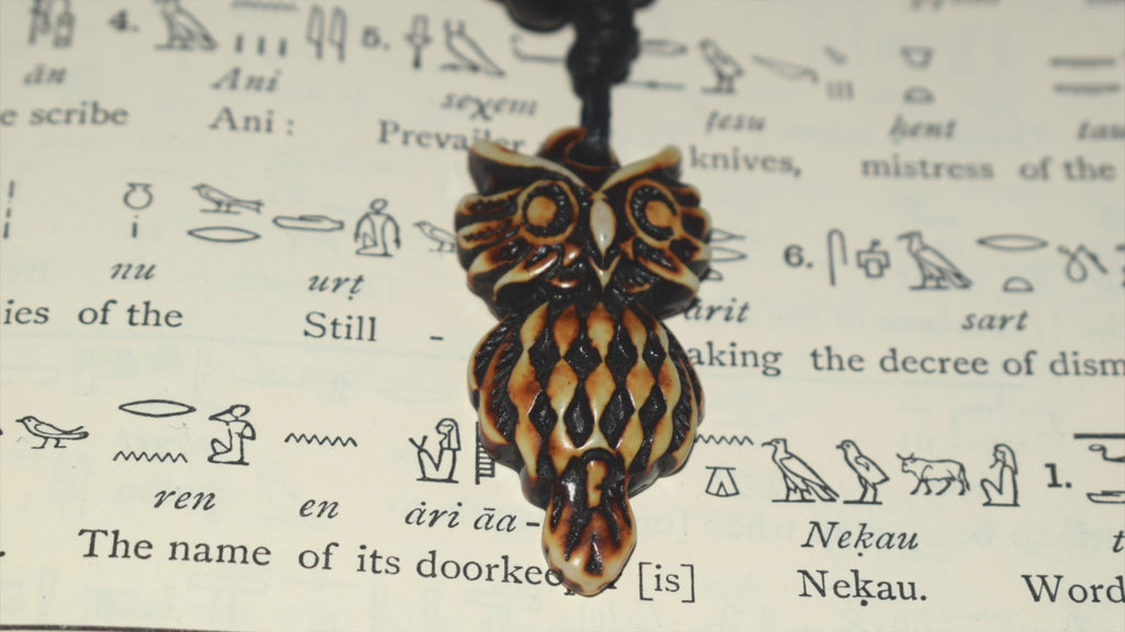 Person with white shirt grasping a brown resin owl necklace and turning it.