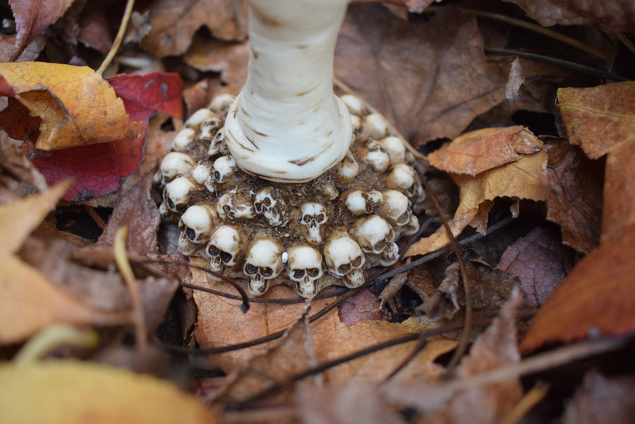 The base of a goblet with a 3d skulls sits on a bed of autumn leaves