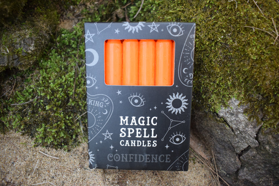 A pack of 12 orange candles in a black box saying Magic Spell Candles Confidence on the front. It rests on a mossy rock.