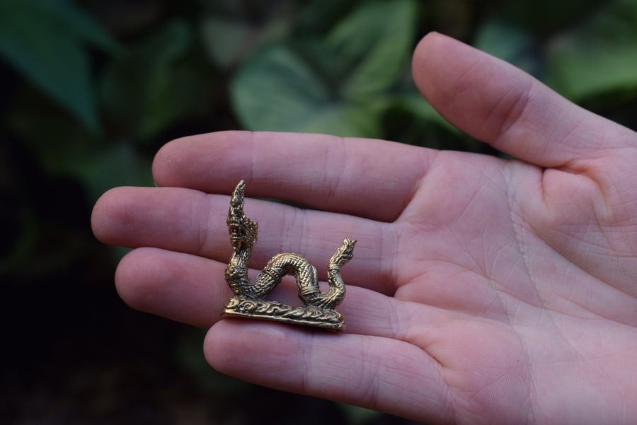 Mini Water Dragon Solid Bronze Ornament