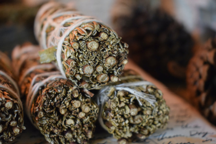 Ethically Sourced Californian Yerba Santa Smudge Stick with Purifying Pack