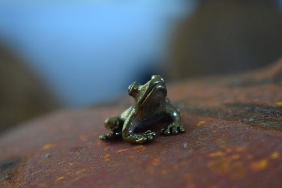 Mini Frog Solid Bronze Ornament